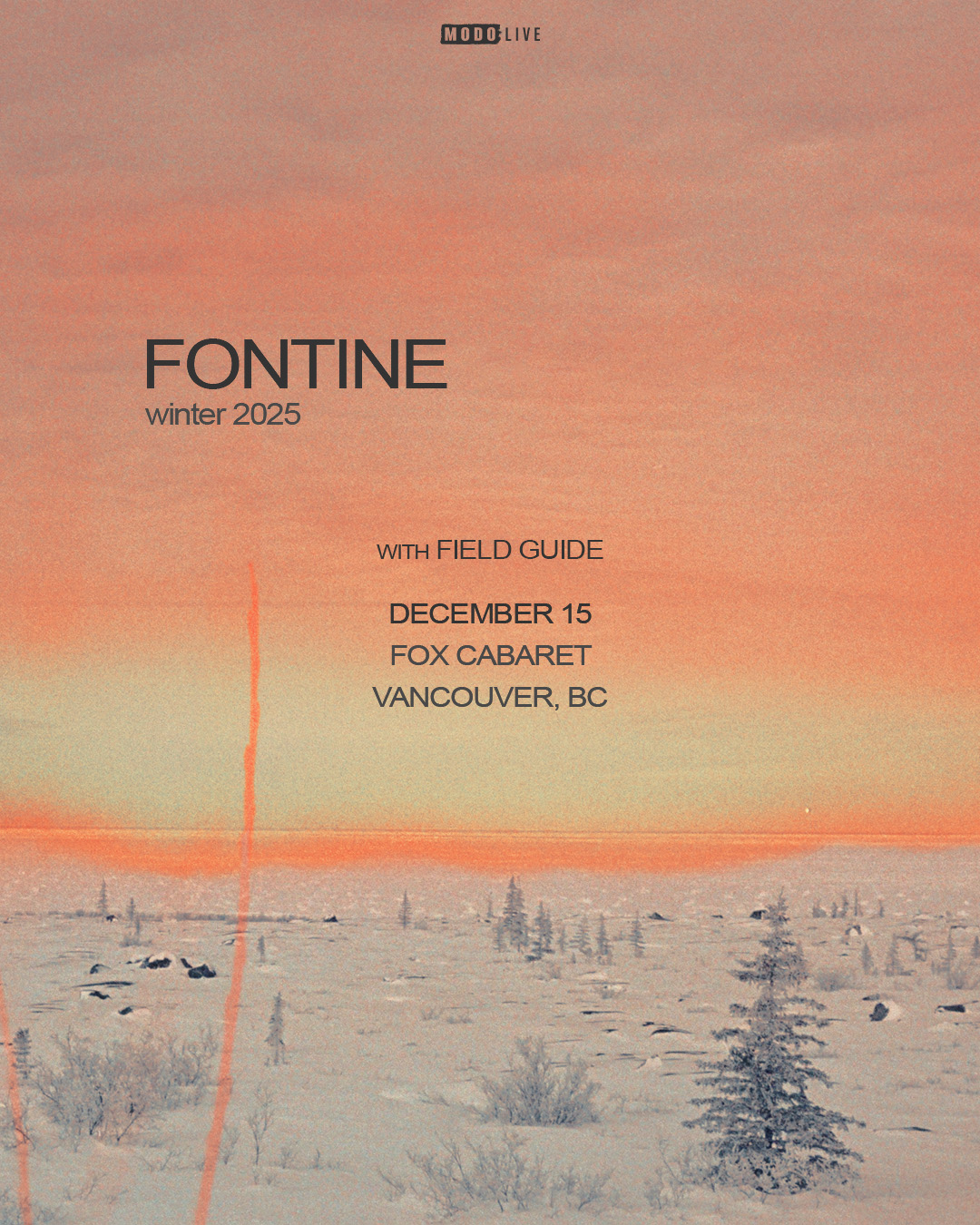 F&Z_VAN_1080x1350 (1)