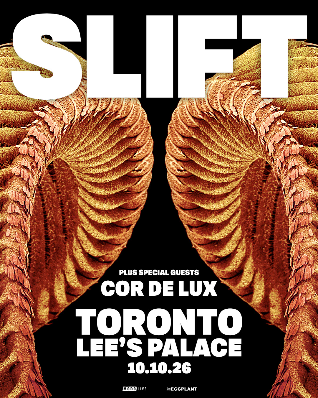 Slift_1080x1350 (1)