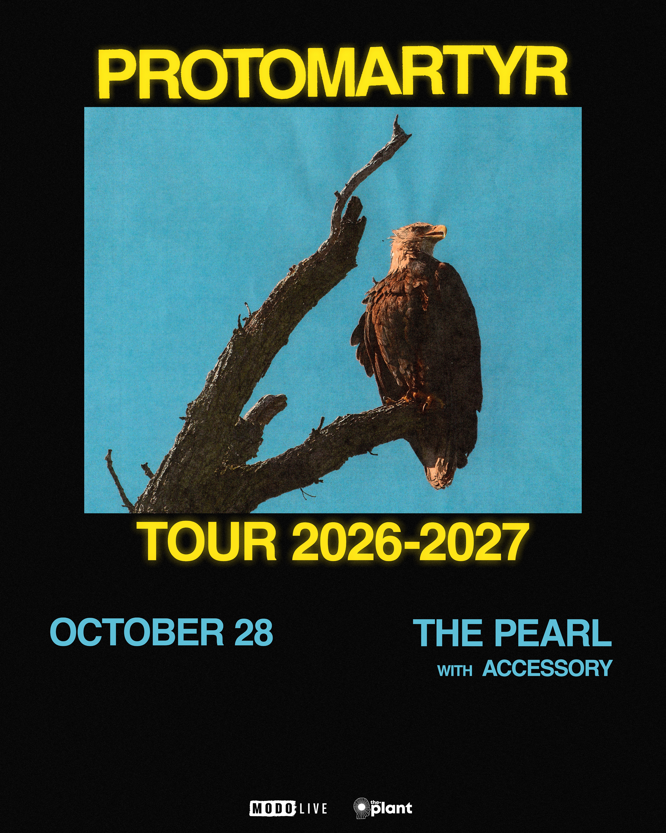 Protomartyr_1080x1350